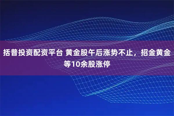 括普投资配资平台 黄金股午后涨势不止，招金黄金等10余股涨停